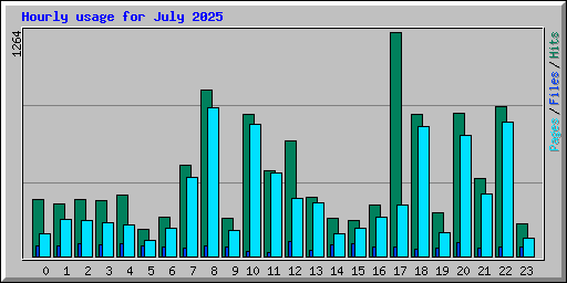 Hourly usage for July 2025
